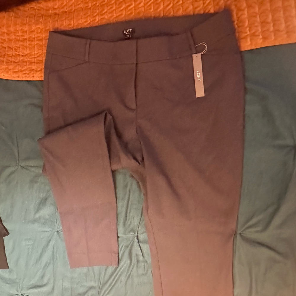 NWT Loft dress pants